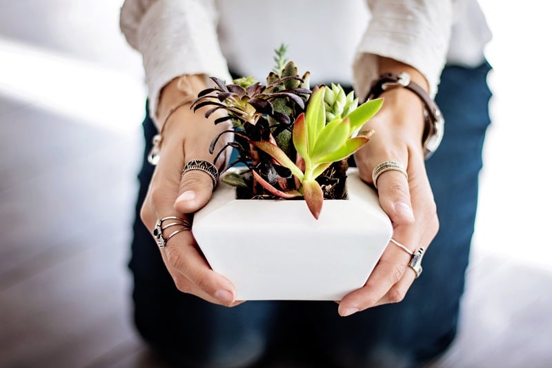 Tea Pot Succulent Planter